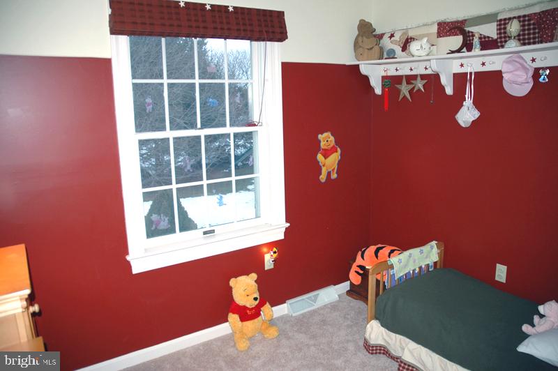 529 Randolph Drive Lititz, PA 17543 - Photo 24 of 30 Gallery Image 24