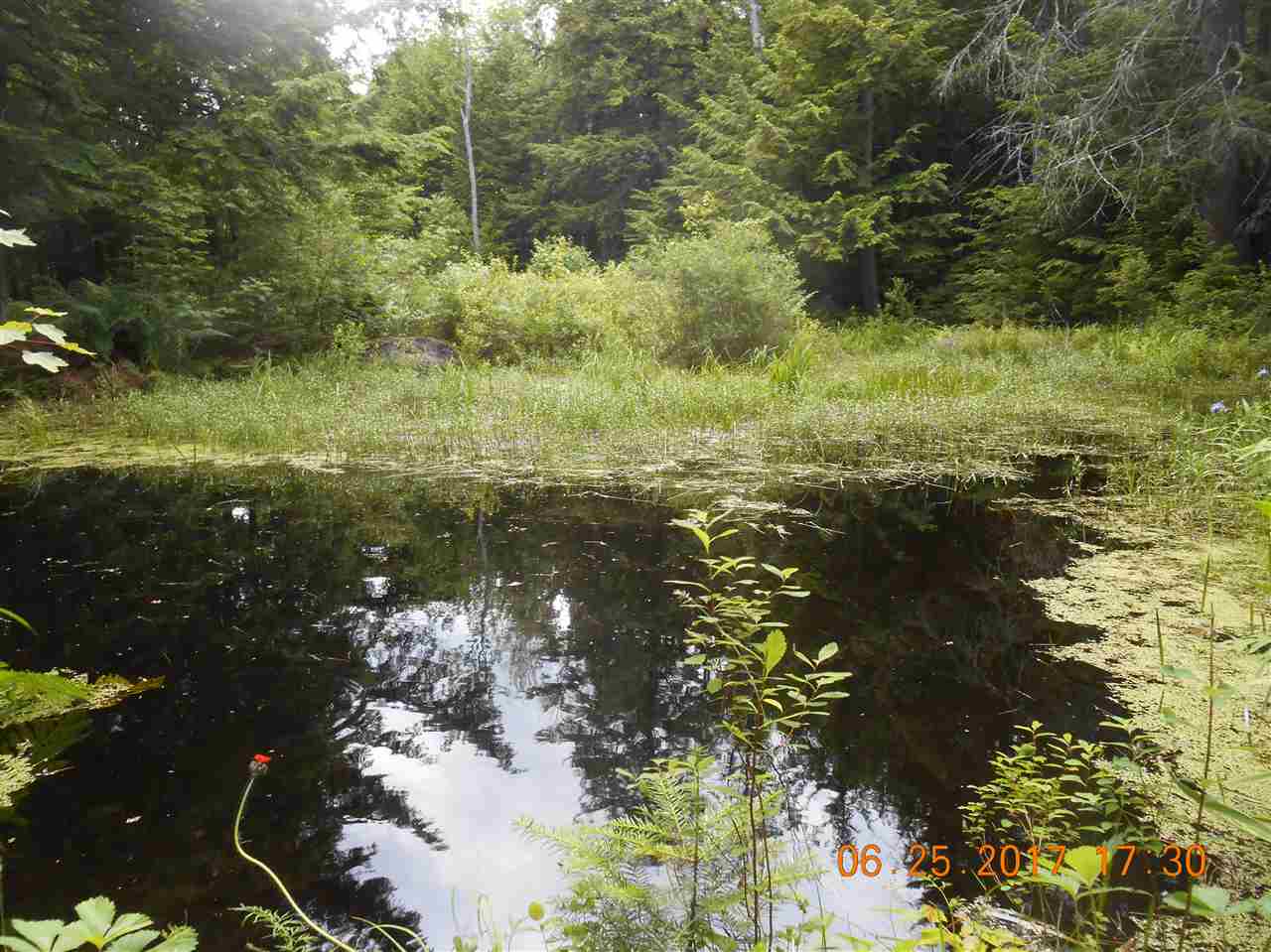 120 North Shore Road Newport, NH 03773 - Photo 5 of 18 Gallery Image 5