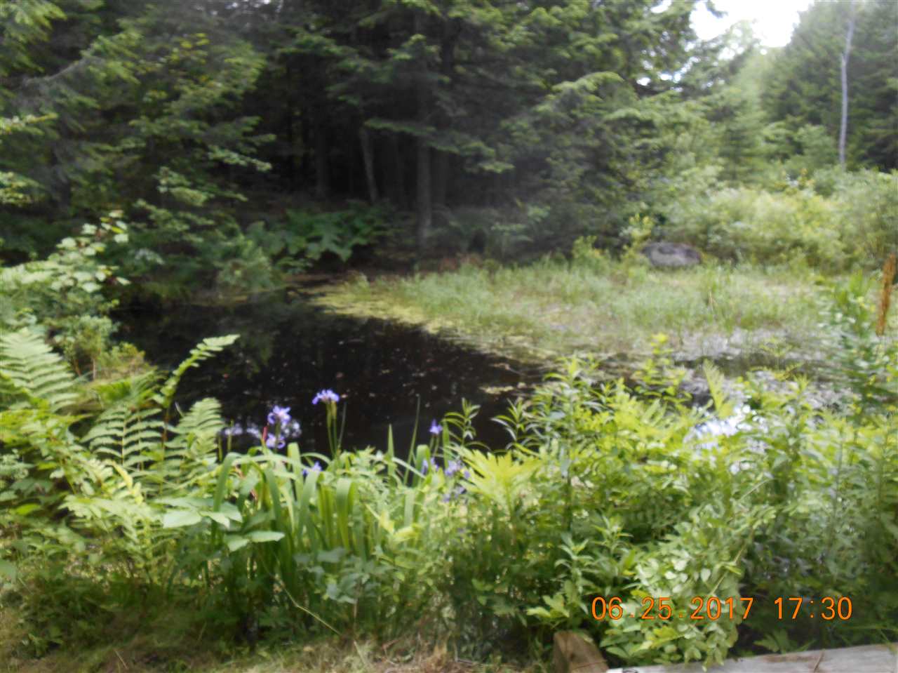 120 North Shore Road Newport, NH 03773 - Photo 6 of 18 Gallery Image 6