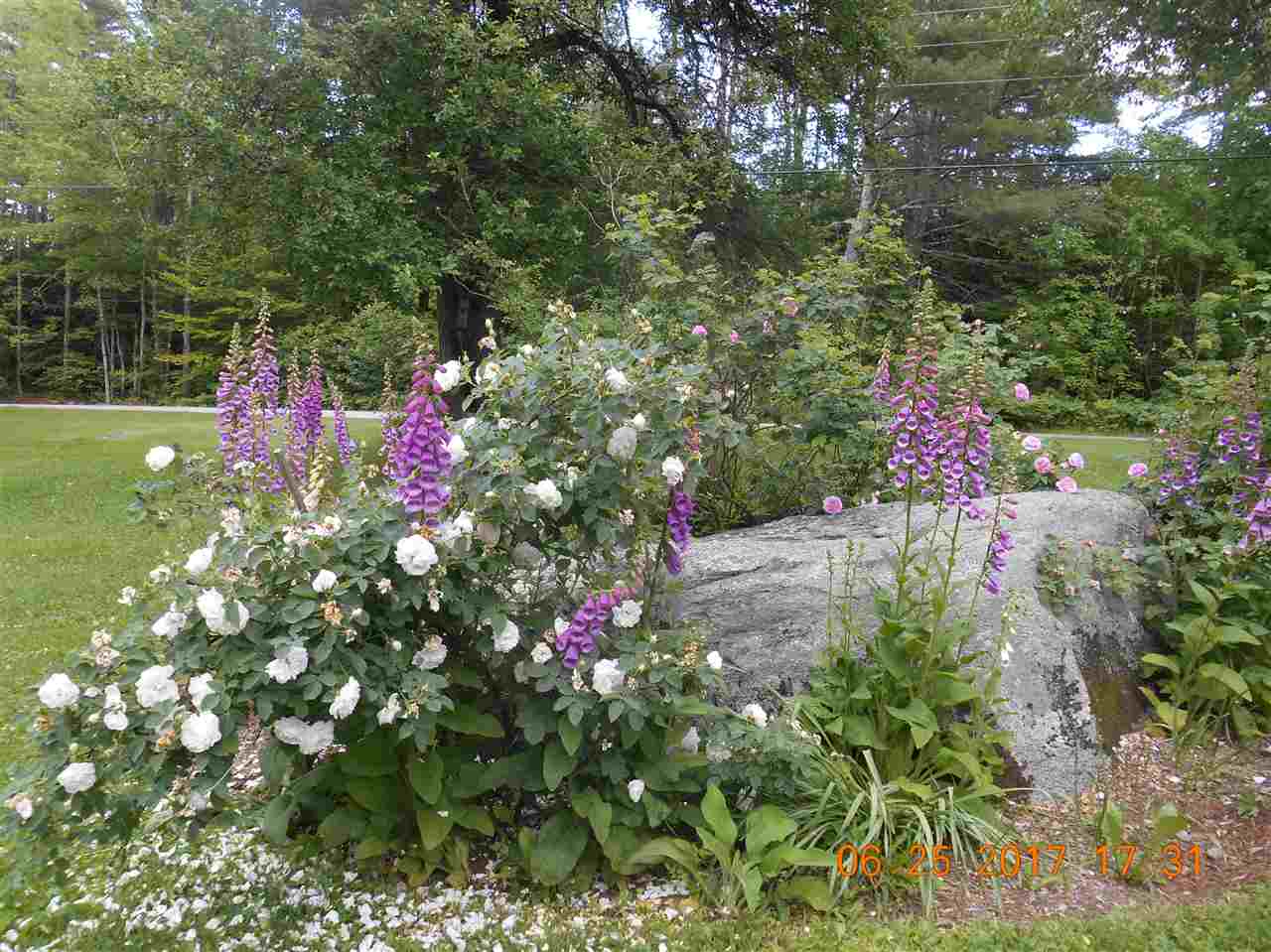 120 North Shore Road Newport, NH 03773 - Photo 9 of 18 Gallery Image 9