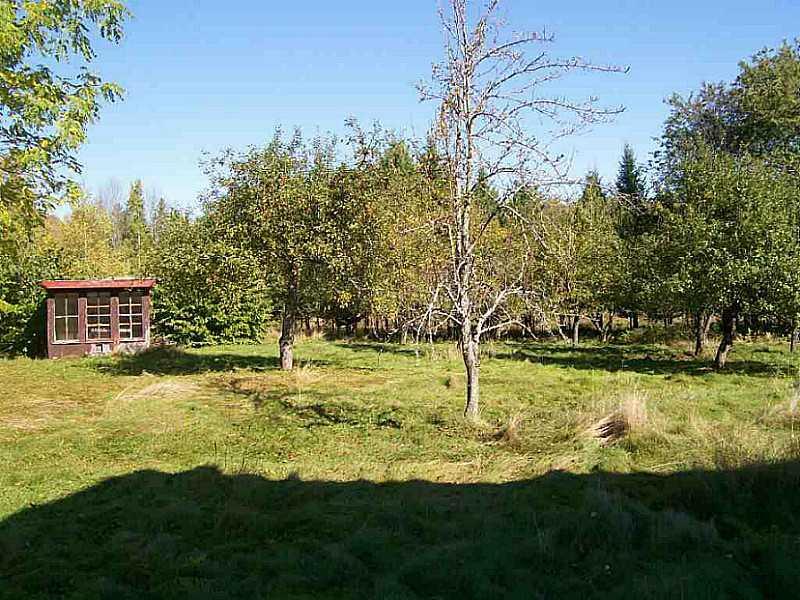 10 Webb Road Canaan, ME 04924 - Photo 5 of 12 Land.