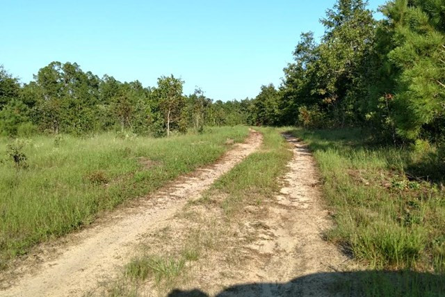 Lot 2 Williston Road Aiken, SC 29803 - Photo 1 of 2 Main View
