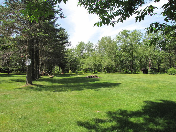 826 Shaw Road Windsor, MA 01270 - Photo 21 of 32 a view of field with trees