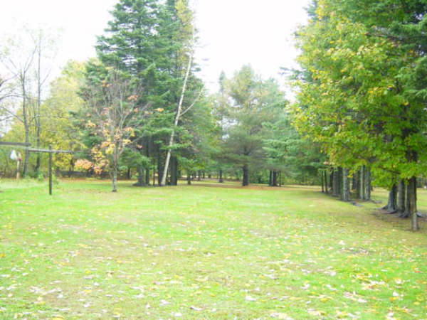 826 Shaw Road Windsor, MA 01270 - Photo 24 of 32 a swimming pool with outdoor space and trees in the background