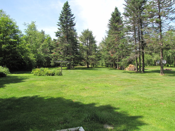 826 Shaw Road Windsor, MA 01270 - Photo 26 of 32 a front view of a field
