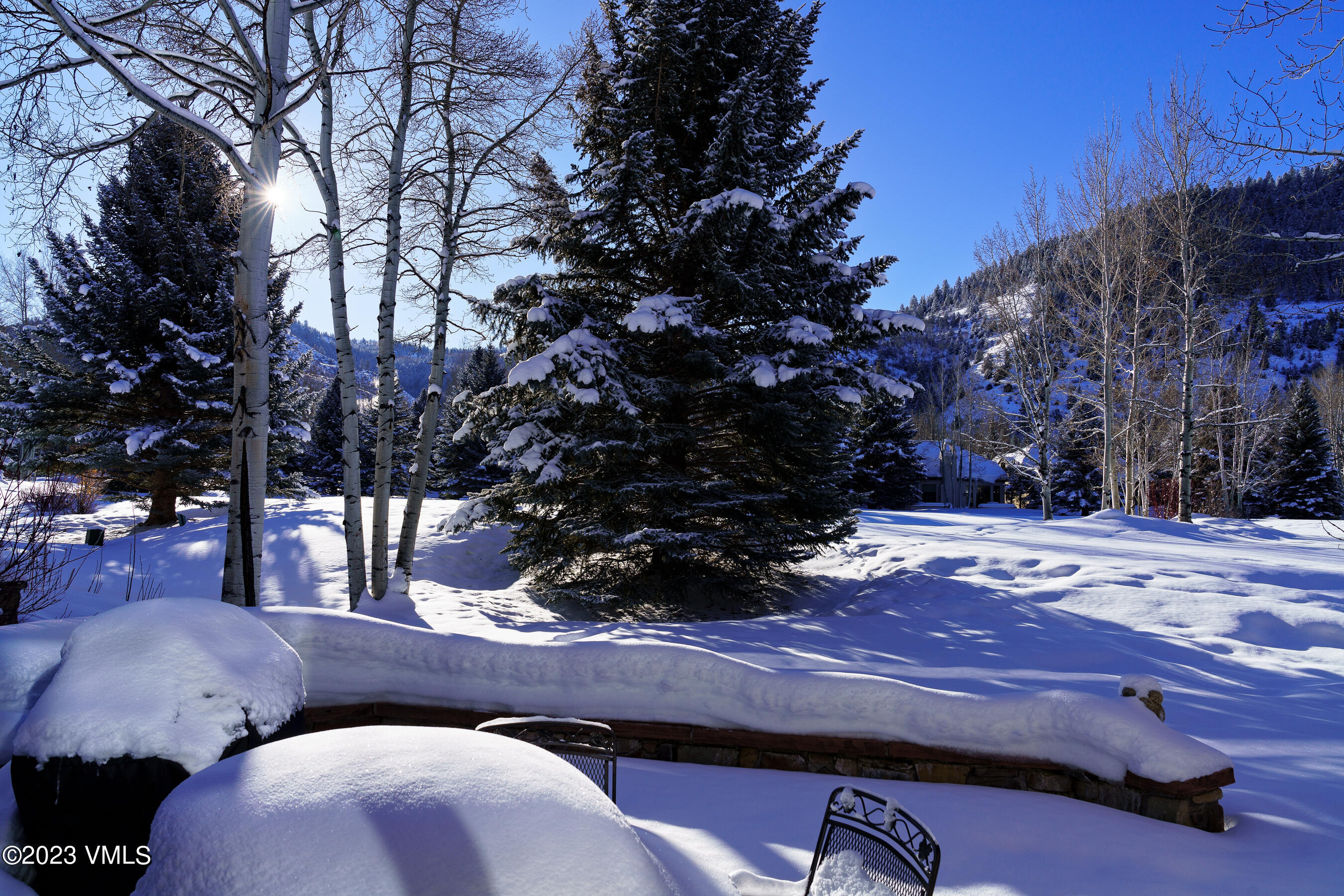 176 Windermere Circle Edwards, CO 81632 - Photo 3 of 42 a view of a backyard with large trees
