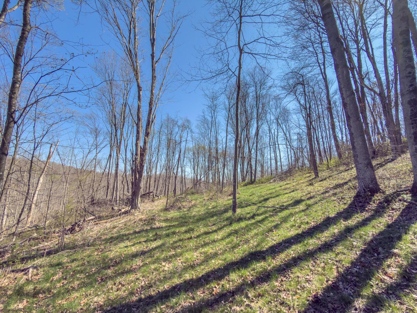 0 Cox Road Logan, OH 43138 - Photo 29 of 50 IMG_1483