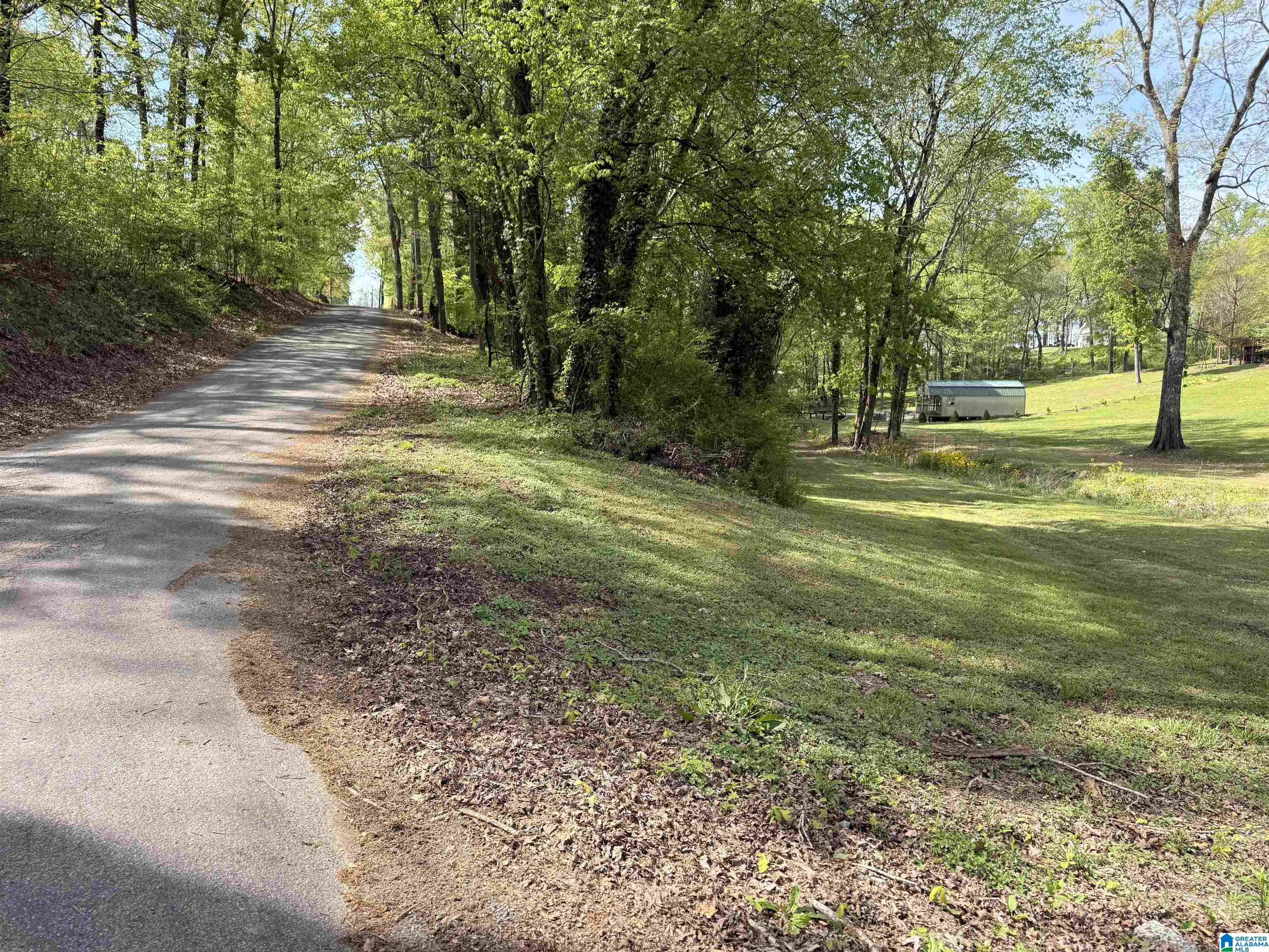 4 Dogwood Road, Unit 4 Lexington, AL 35648 - Photo 9 of 9