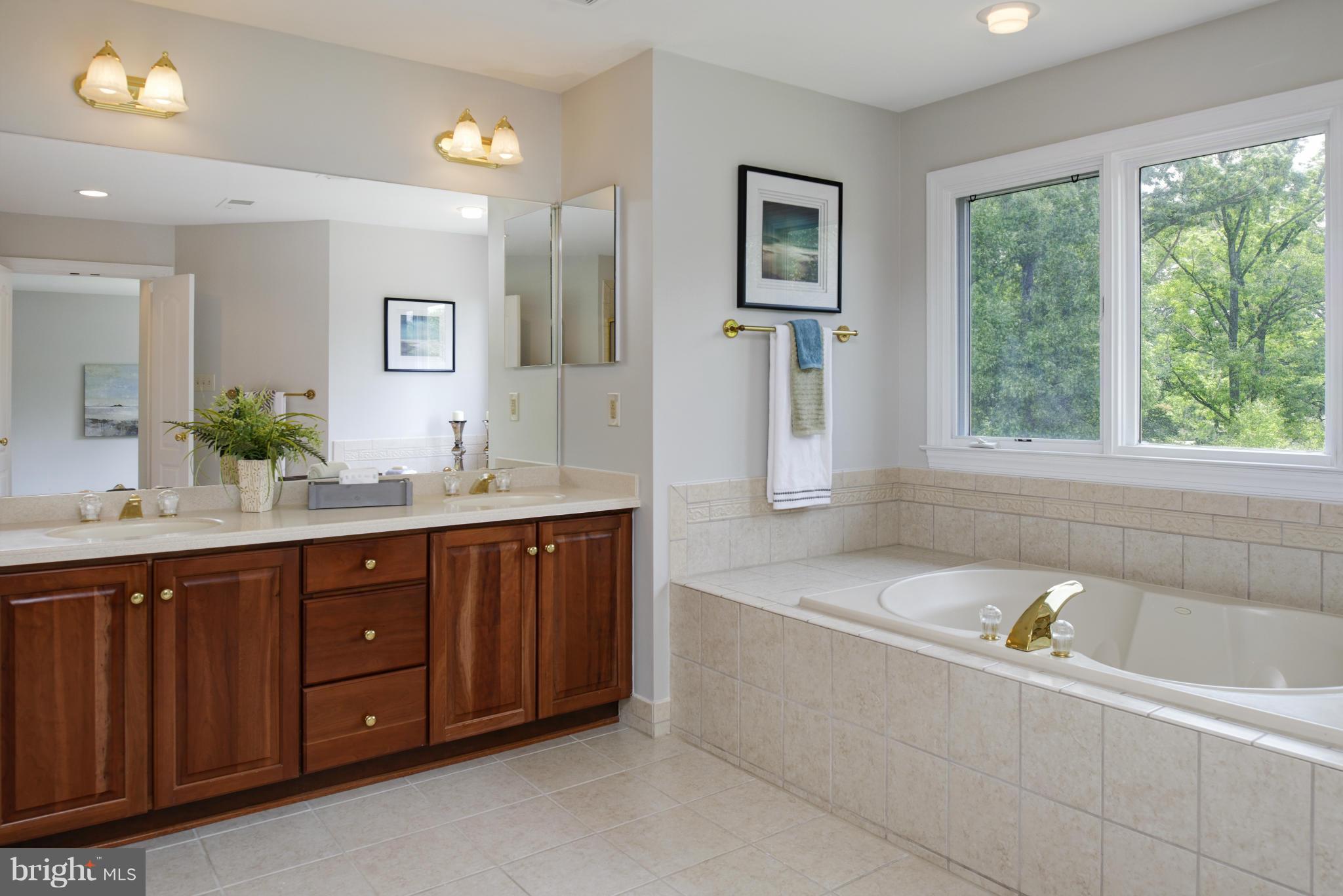 11079 Pelham Manor Place Reston, VA 20194 - Photo 18 of 29 Bath (Master)