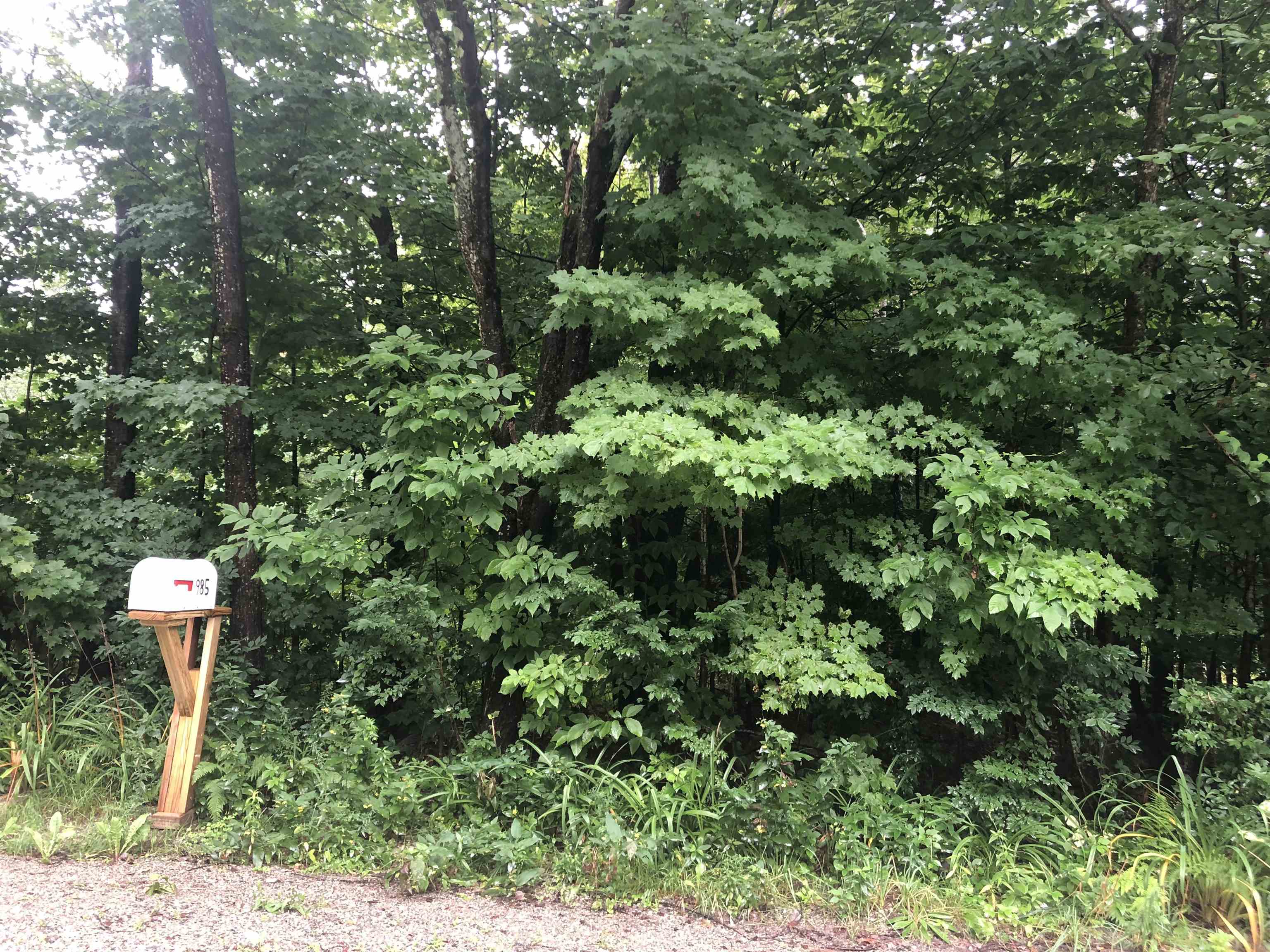 982 Chapel Hill Road, Unit LOT #28 Whitingham, VT 05361 - Photo 1 of 5 Gallery Image 1