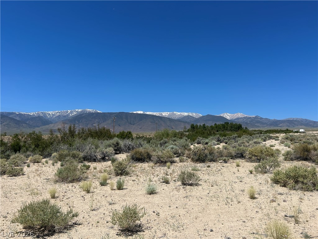 360 Mountain Creek Road Dyer, NV 89010 - Photo 18 of 23 A vast, developable lot with distant snow-capped mountain views.