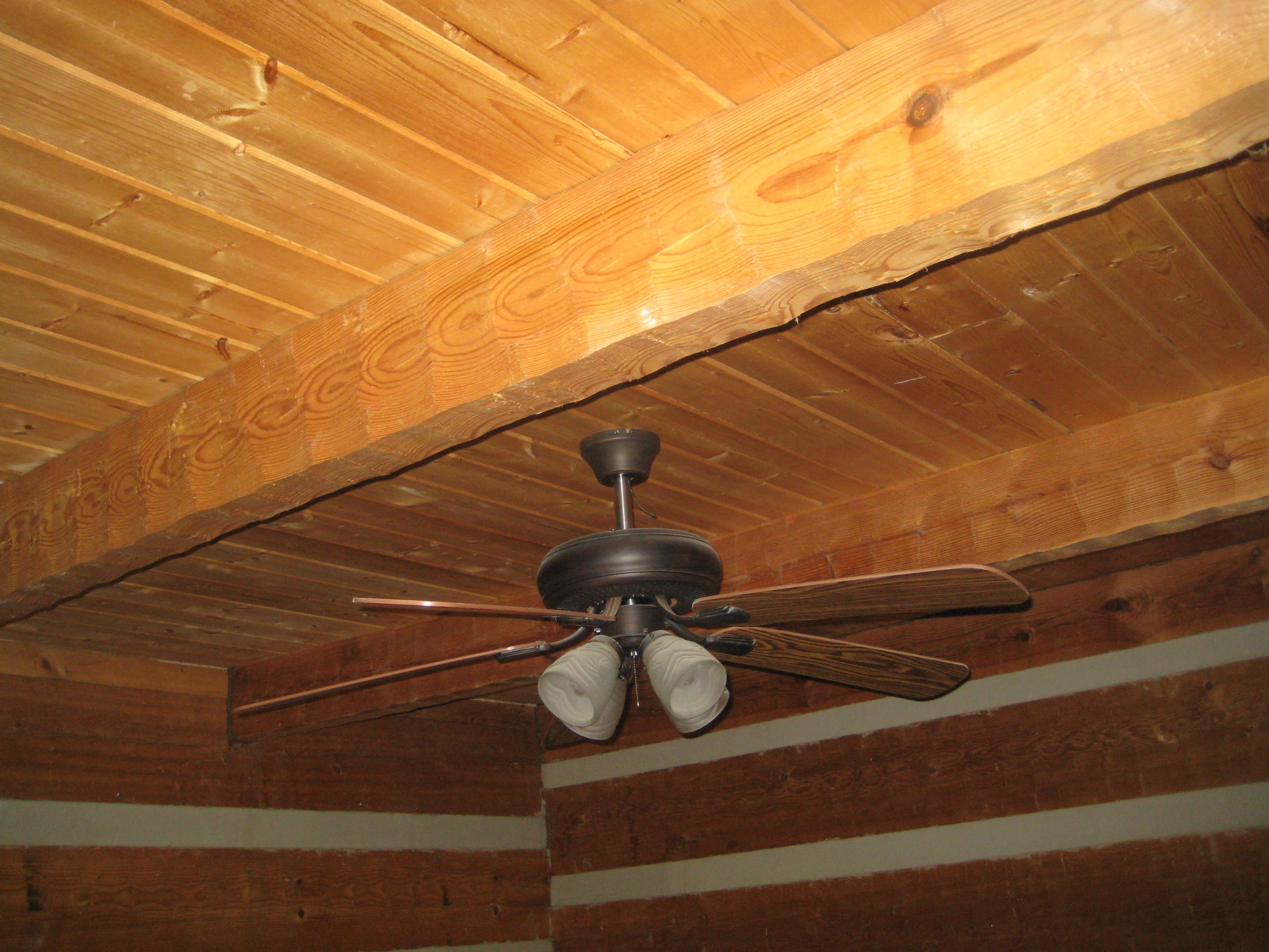 1210 Byrams Fork Road Andersonville, TN 37705 - Photo 13 of 25 1210 Byrams Fork 040