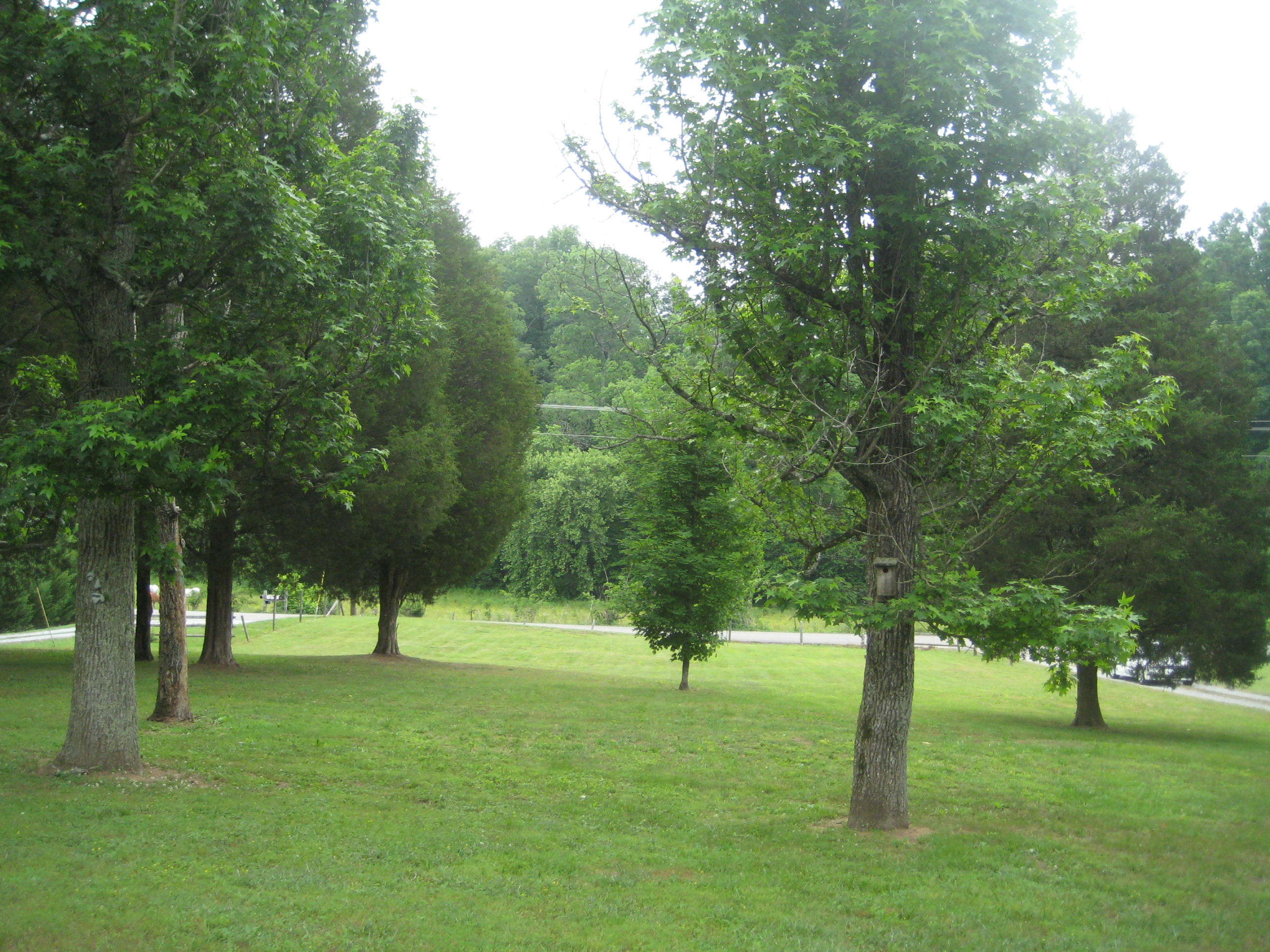 1210 Byrams Fork Road Andersonville, TN 37705 - Photo 17 of 25 007