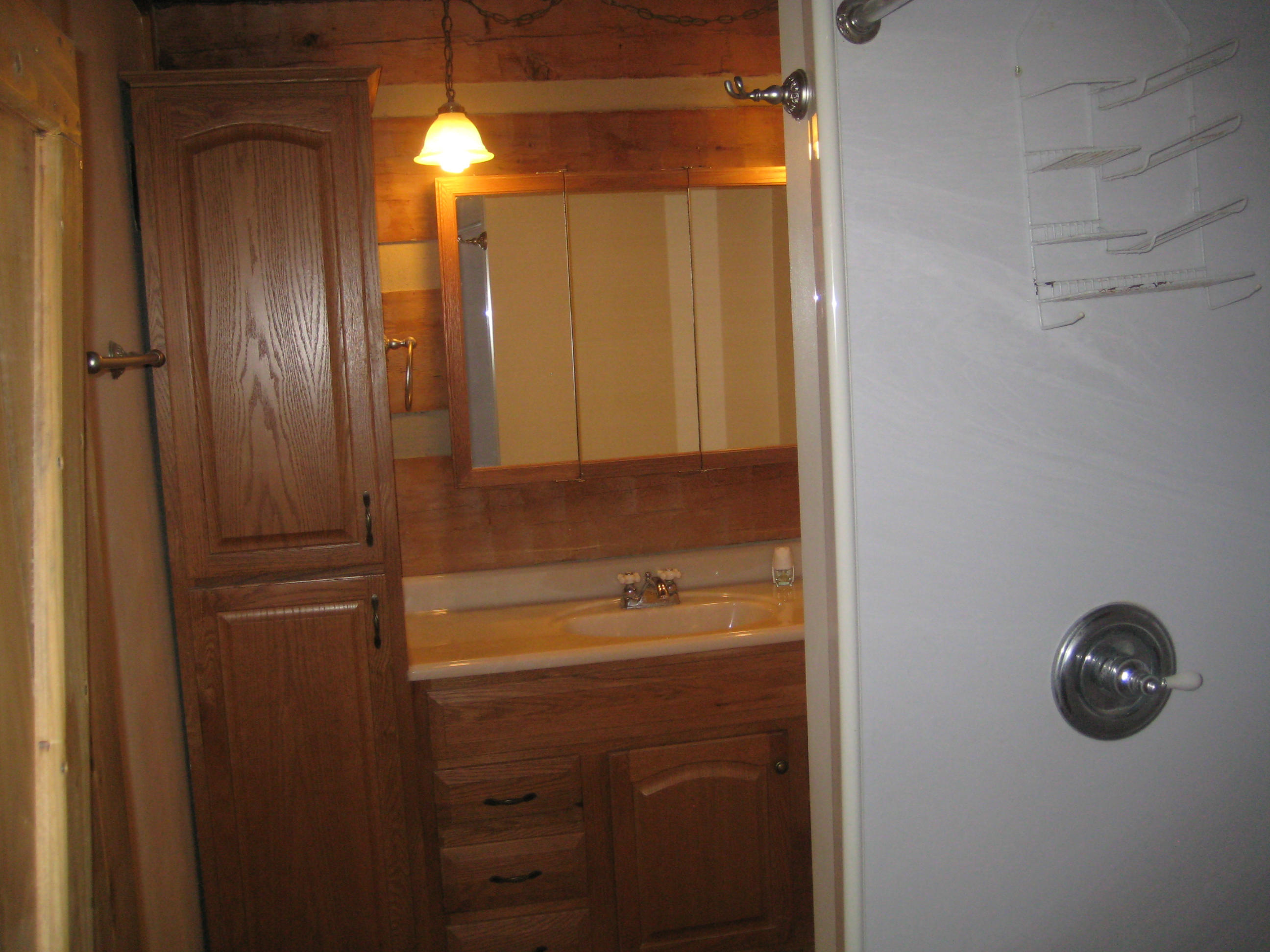 1210 Byrams Fork Road Andersonville, TN 37705 - Photo 10 of 25 1210 Byrams Fork 014