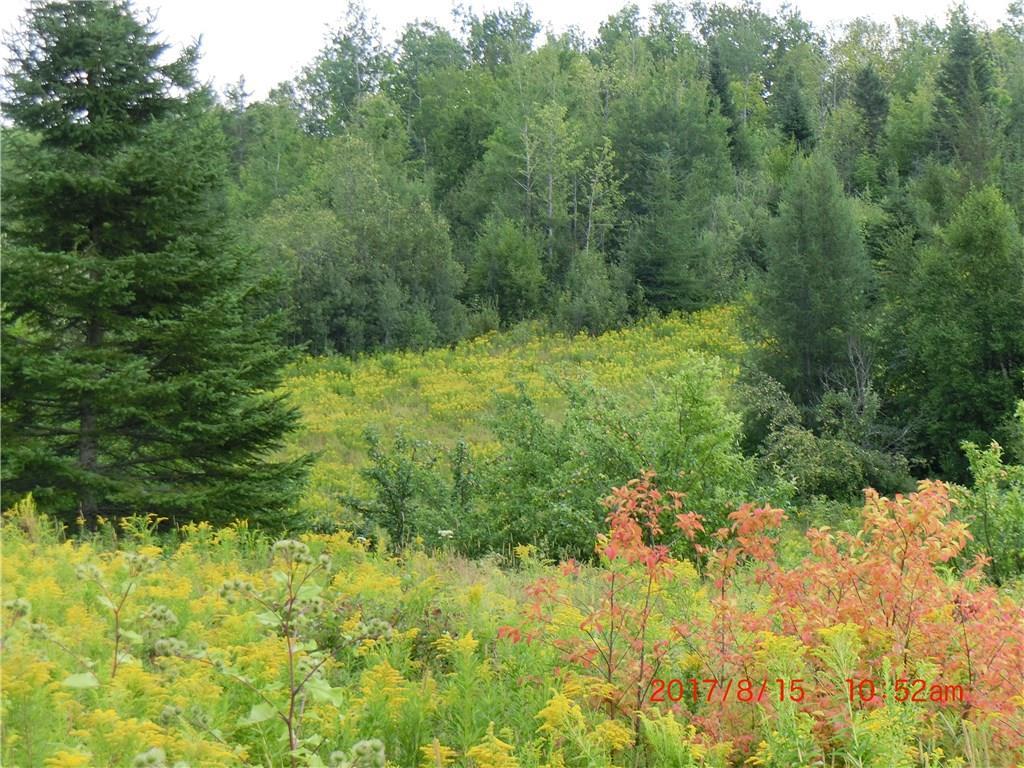 28 Pryor Hill Road Bridgewater, ME 04735 - Photo 3 of 10 Photo