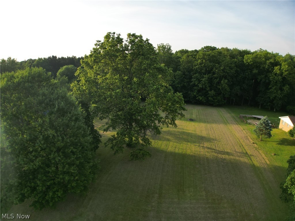 V/l Nelson Mosier Road Southington, OH 44470 - Photo 4 of 11