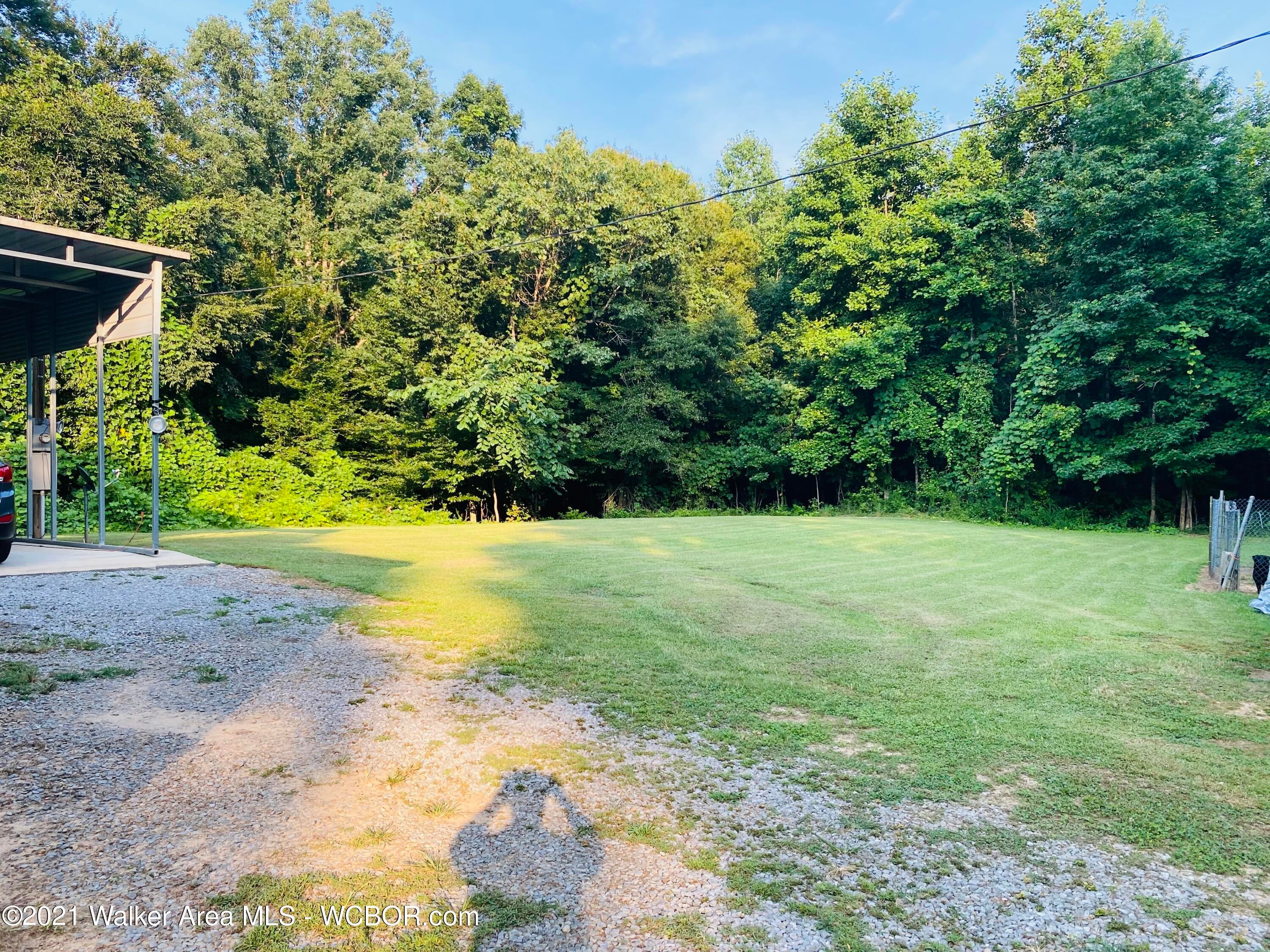 1124 Drummond Road Jasper, AL 35504 - Photo 5 of 24 Gallery Image 5