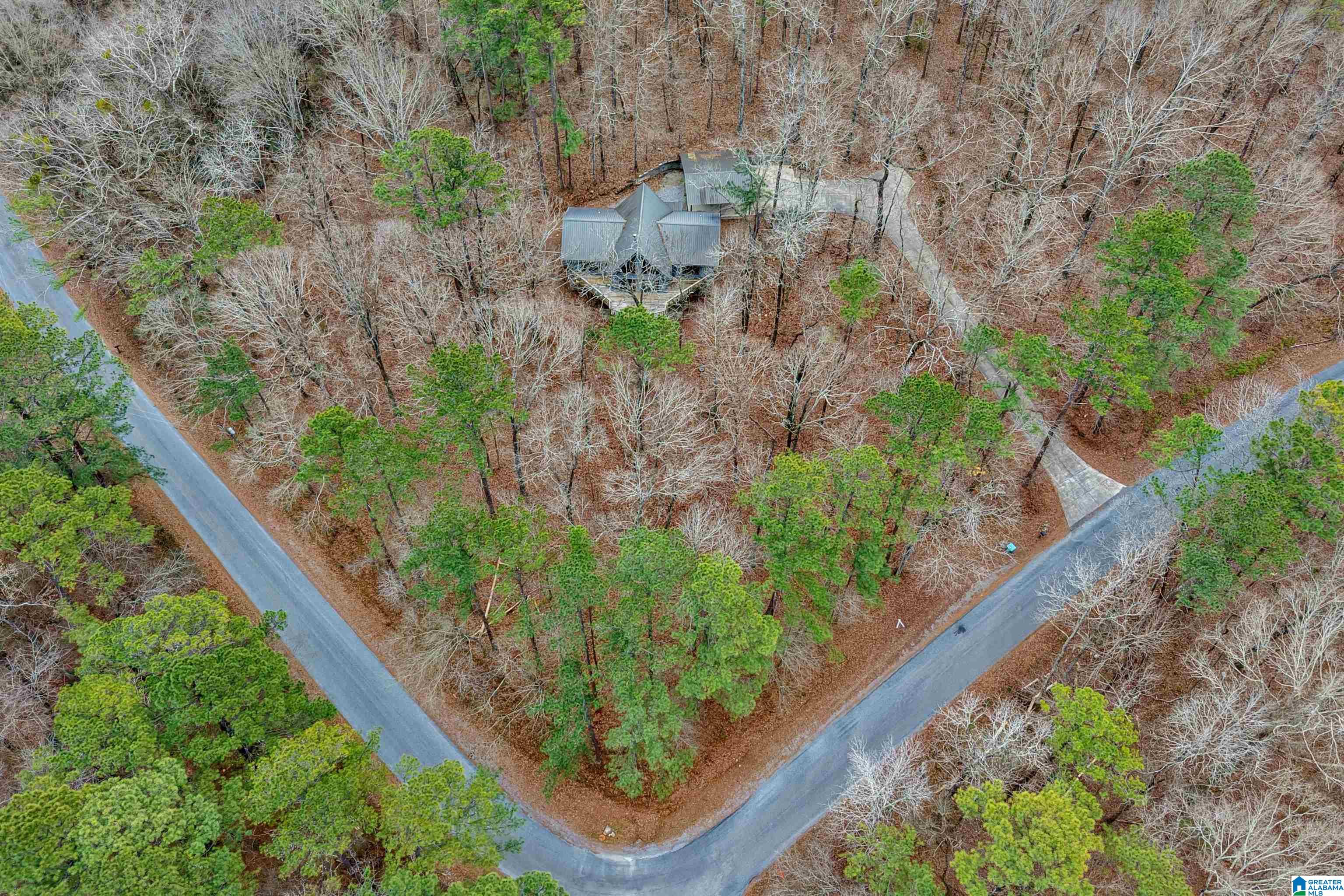 266 Davis Acres Drive Alpine, AL 35014 - Photo 9 of 60