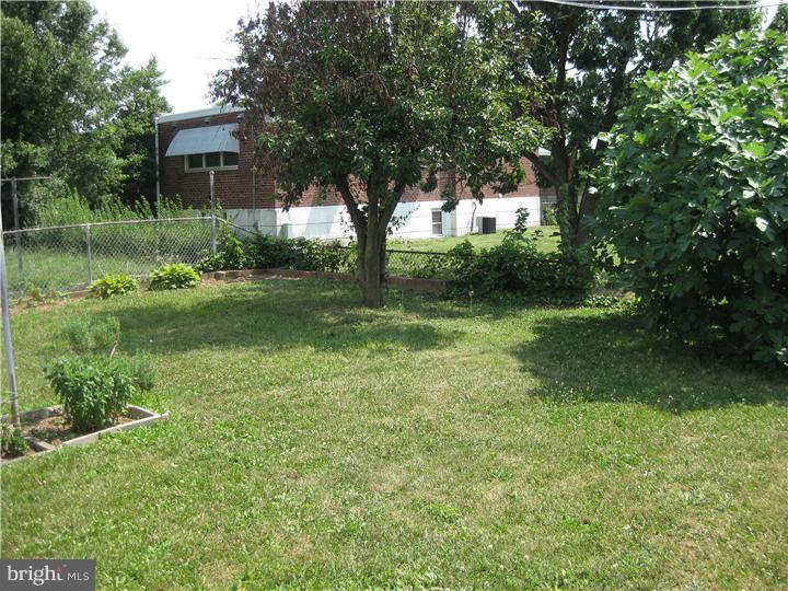 3300 Red Lion Road Philadelphia, PA 19114 - Photo 3 of 17 Back Yard