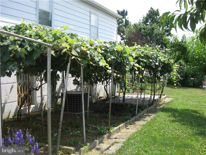 3300 Red Lion Road Philadelphia, PA 19114 - Photo 4 of 17 Garden