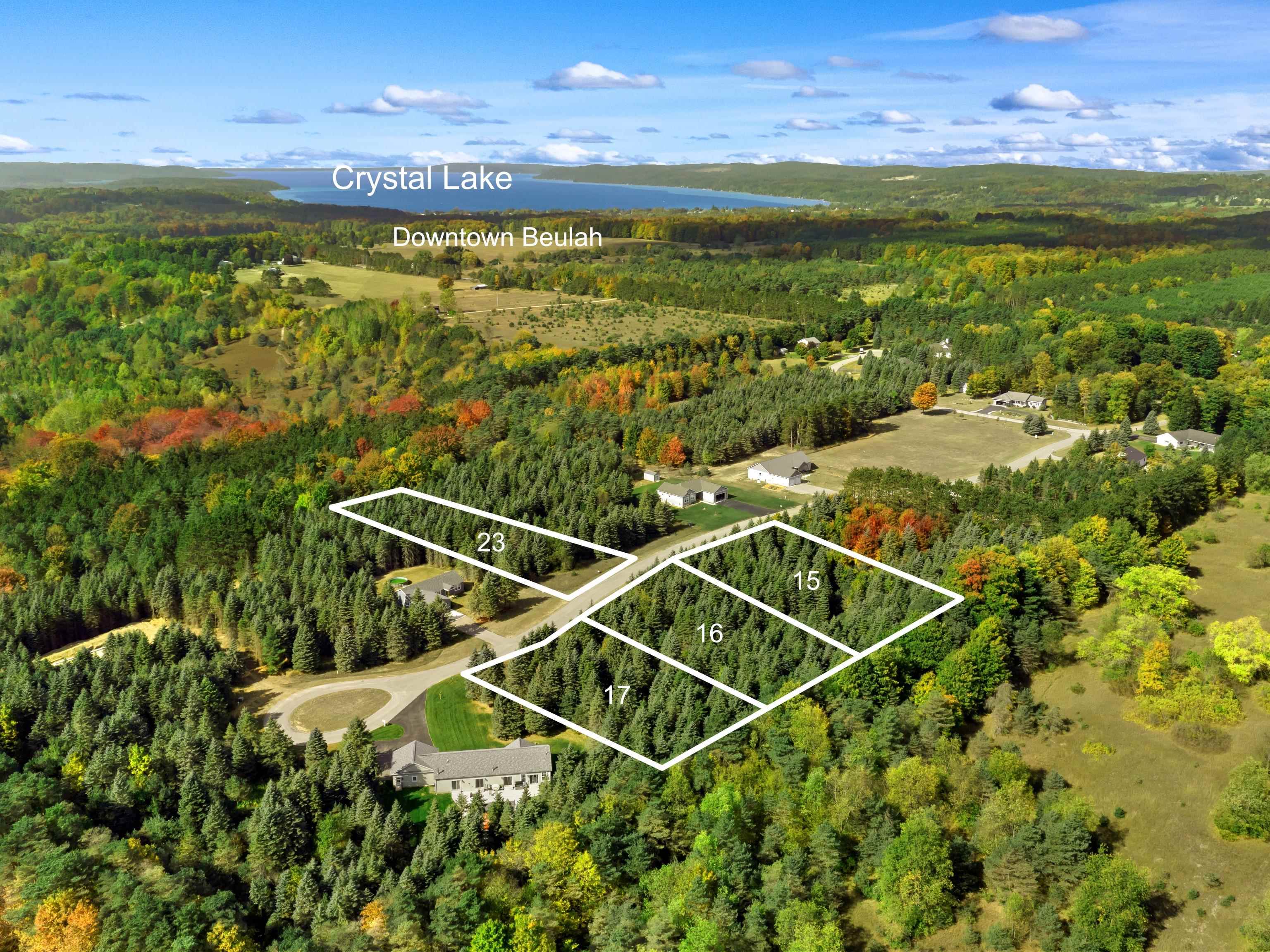 Lot 16 Lipp Farm Road Benzonia, MI 49616 - Photo 2 of 12