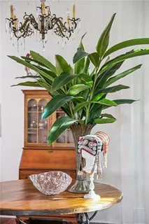 $945,000 | 2126 Brainard Street, New Orleans, LA 70113