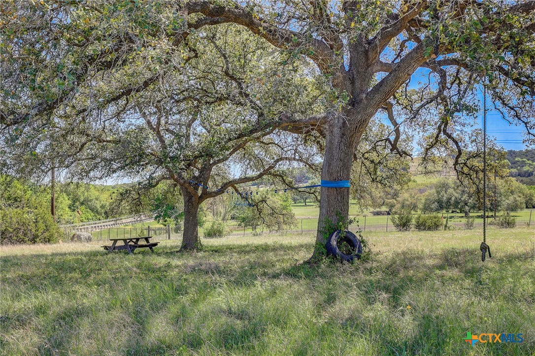 1214 Windy Hill Road Salado, TX 76571 - Photo 1 of 18 a view of backyard with tree