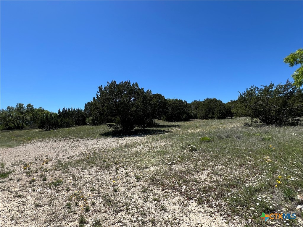 1214 Windy Hill Road Salado, TX 76571 - Photo 17 of 18