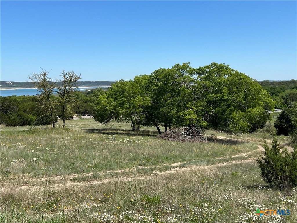 1214 Windy Hill Road Salado, TX 76571 - Photo 3 of 18 a view of a field with an trees