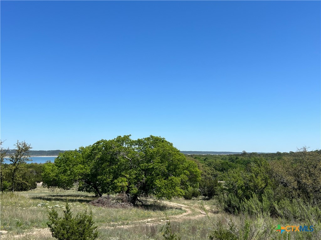 1214 Windy Hill Road Salado, TX 76571 - Photo 4 of 18 a view of a lake with a mountain in the background