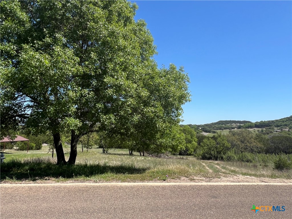 1214 Windy Hill Road Salado, TX 76571 - Photo 5 of 18 a view of a yard with plants and trees