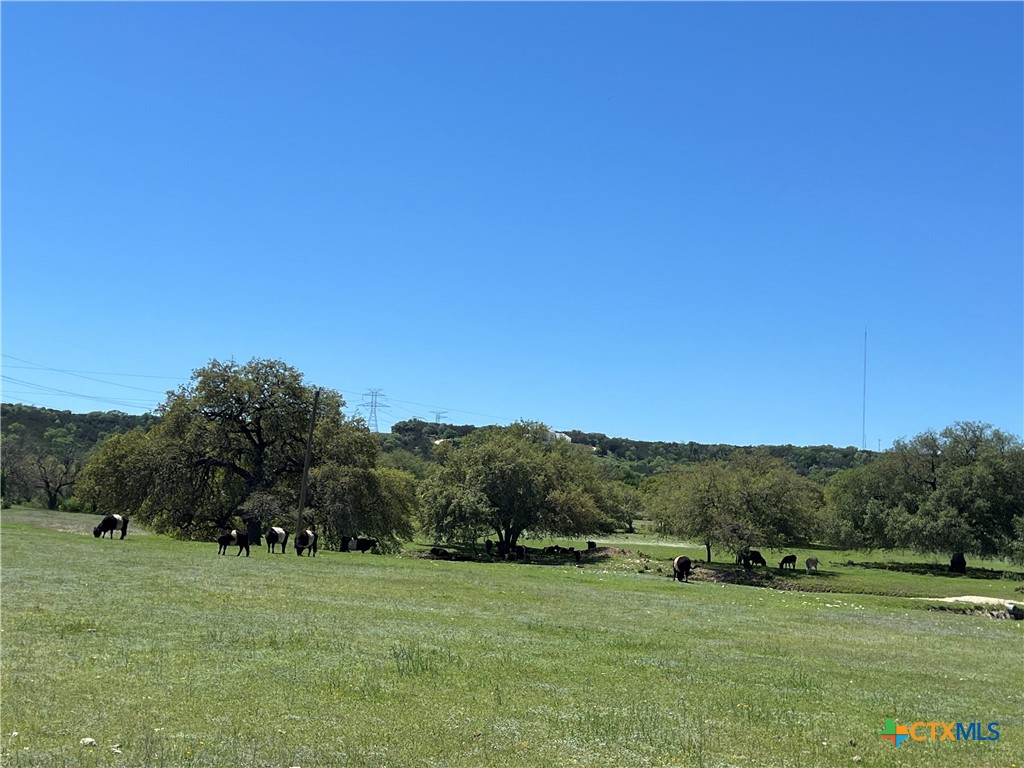 1214 Windy Hill Road Salado, TX 76571 - Photo 6 of 18 a view of grassy field with trees