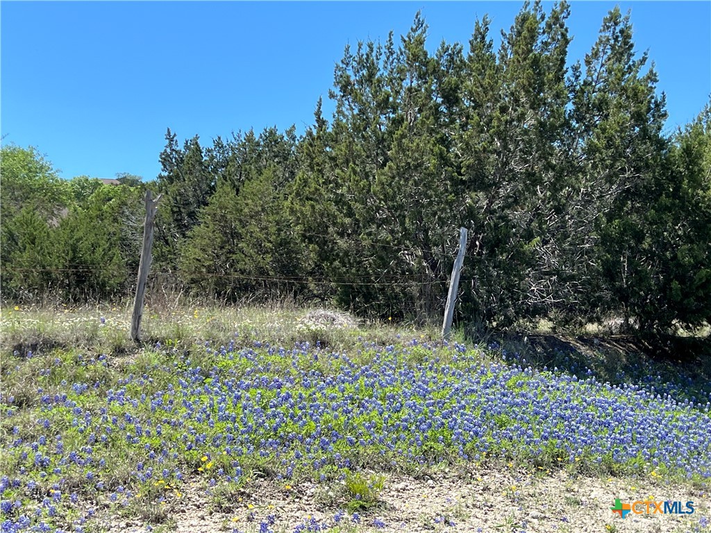 1214 Windy Hill Road Salado, TX 76571 - Photo 7 of 18 a view of a garden