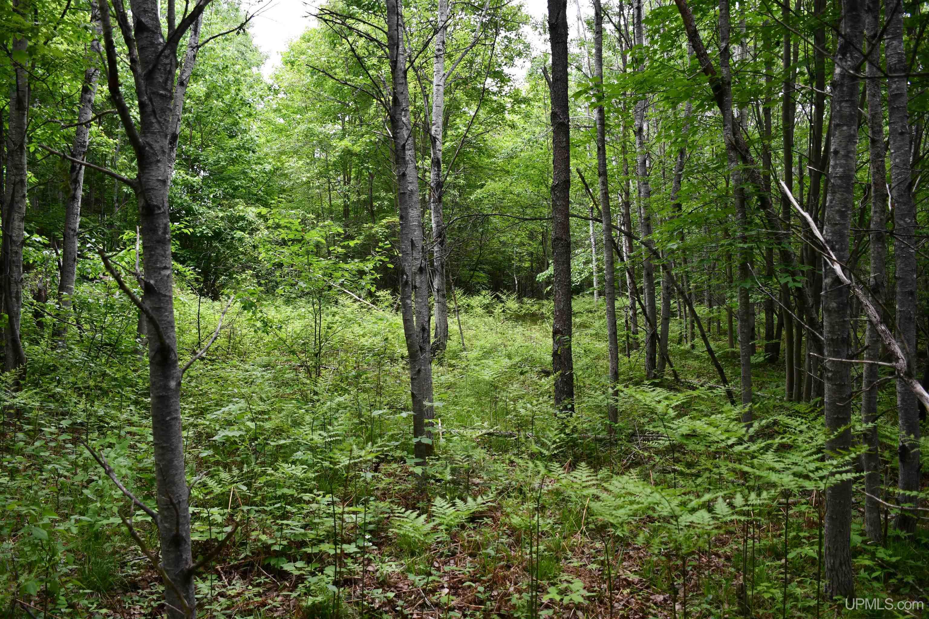 18310 Skanee Road Lanse, MI 49946 - Photo 58 of 71 Gallery Image 58
