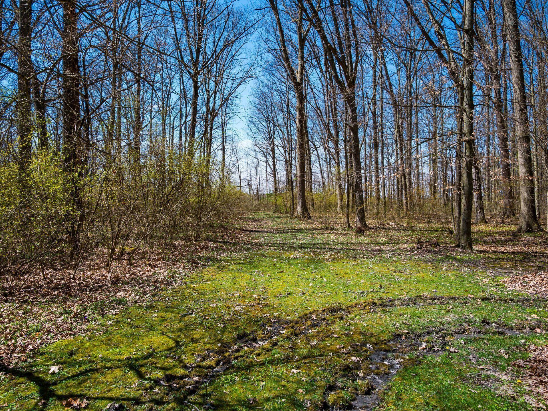6311 Wheeler Road Delaware, OH 43015 - Photo 37 of 51 037_11_C - 6311 Wheeler 087-2