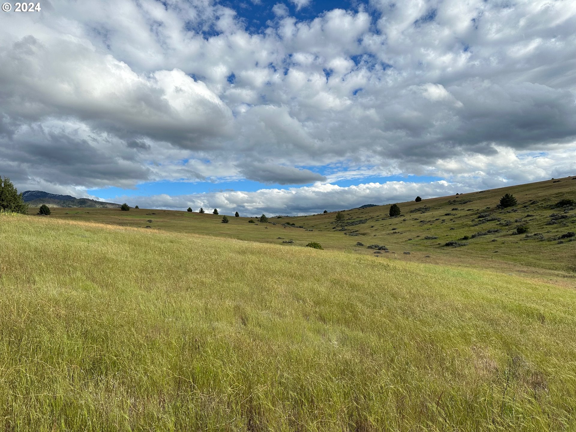 Industrial Park Road John Day, OR 97845 - Photo 4 of 21