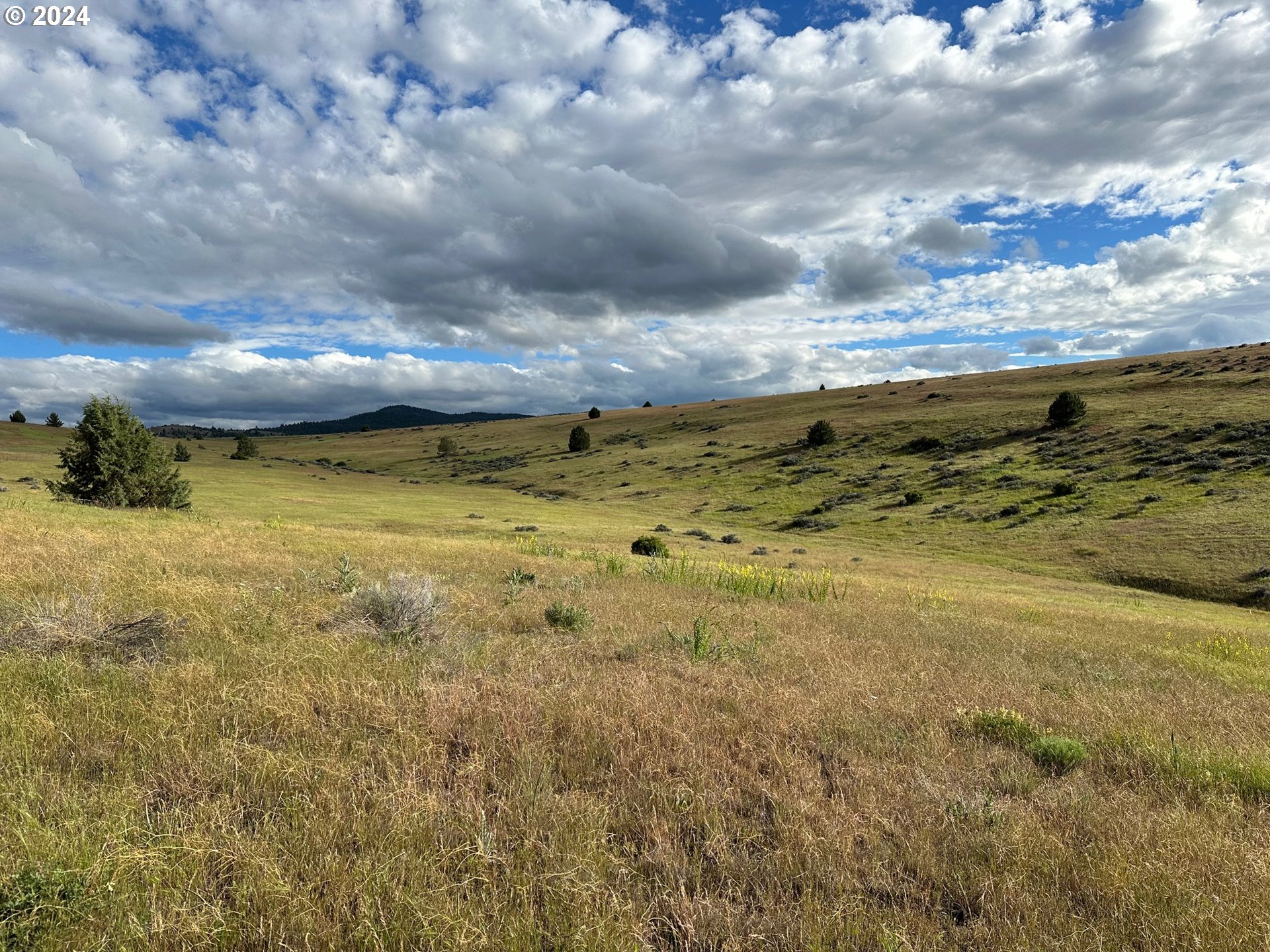 Industrial Park Road John Day, OR 97845 - Photo 6 of 21