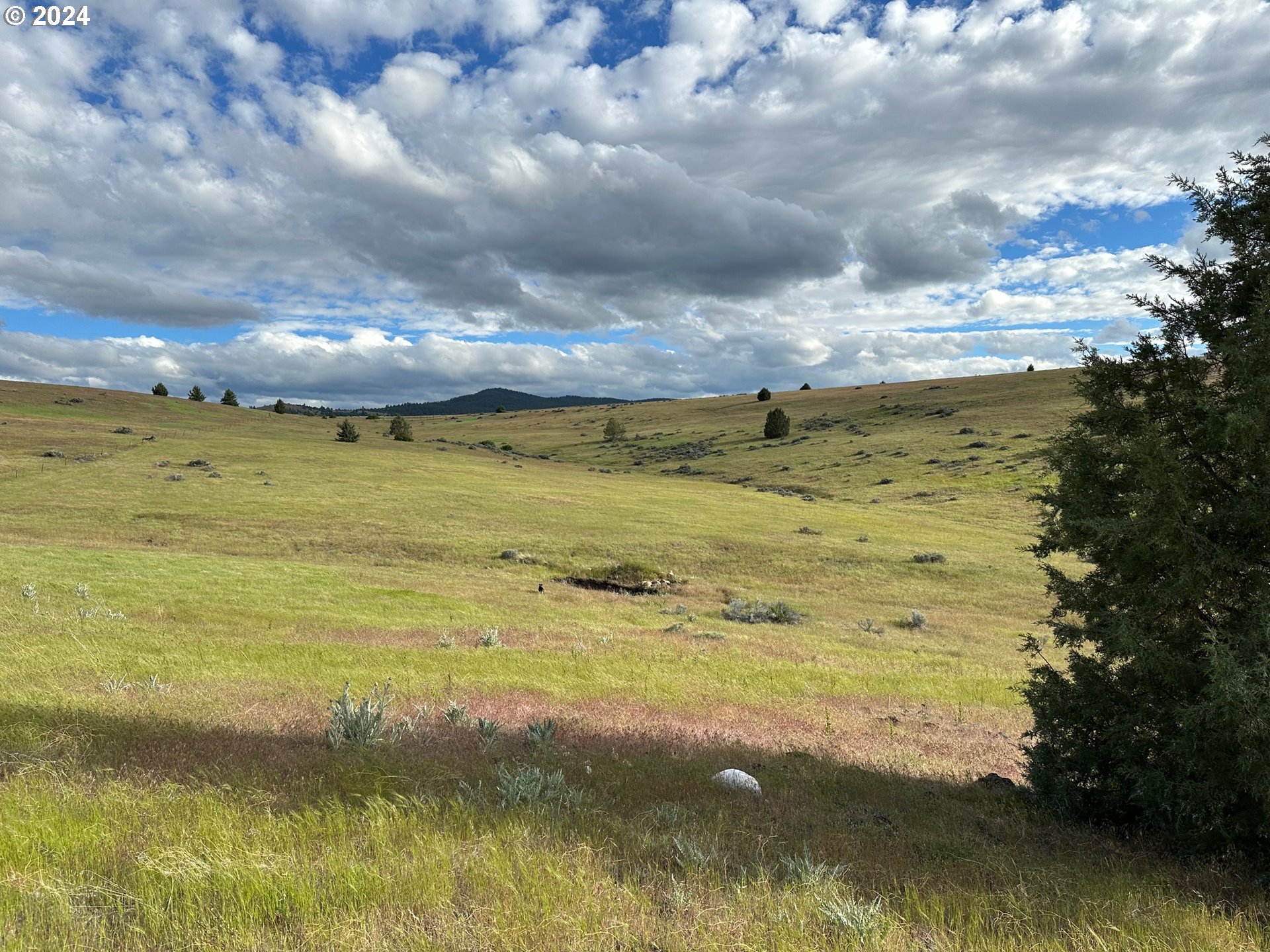 Industrial Park Road John Day, OR 97845 - Photo 7 of 21
