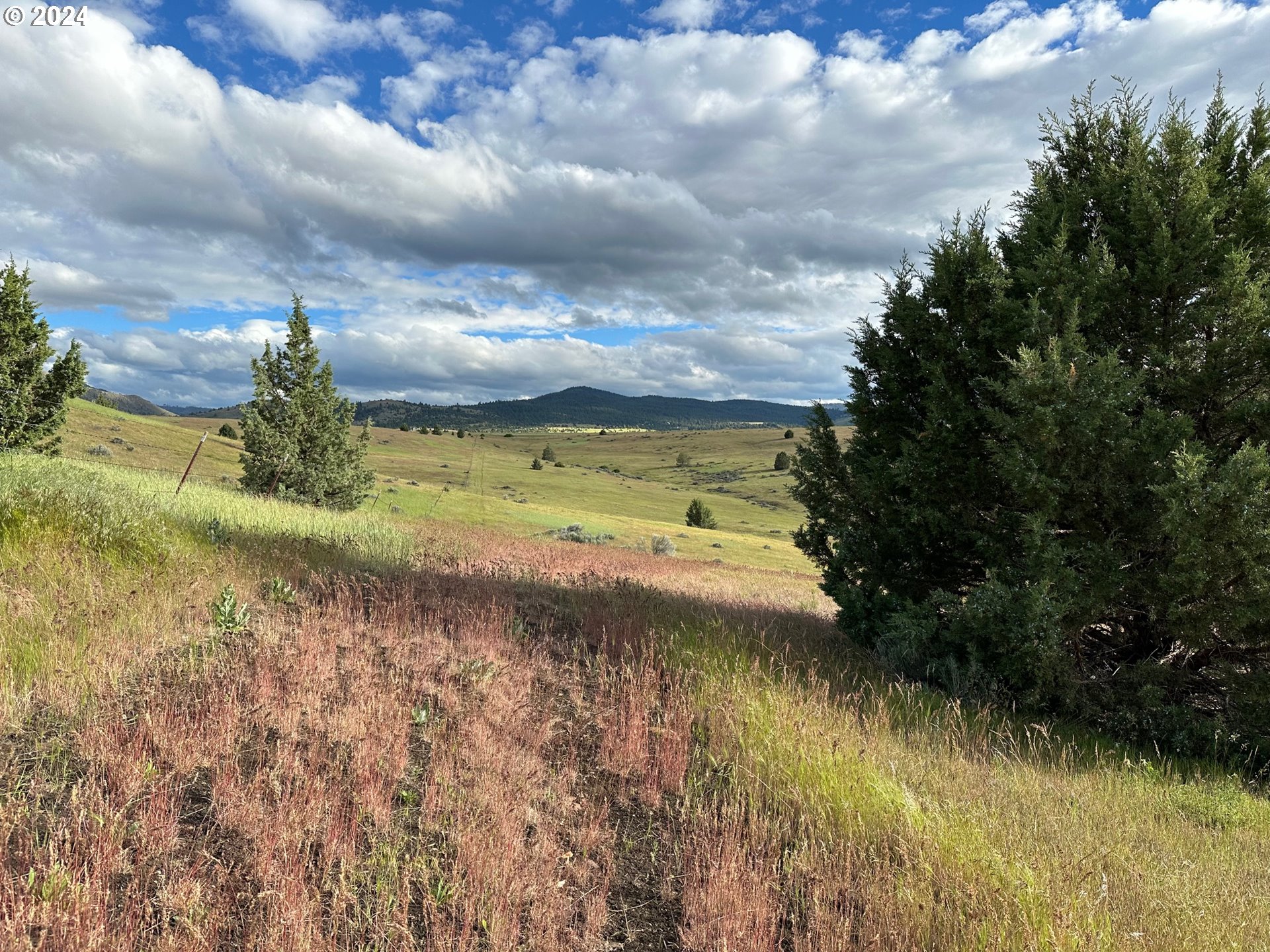 Industrial Park Road John Day, OR 97845 - Photo 8 of 21