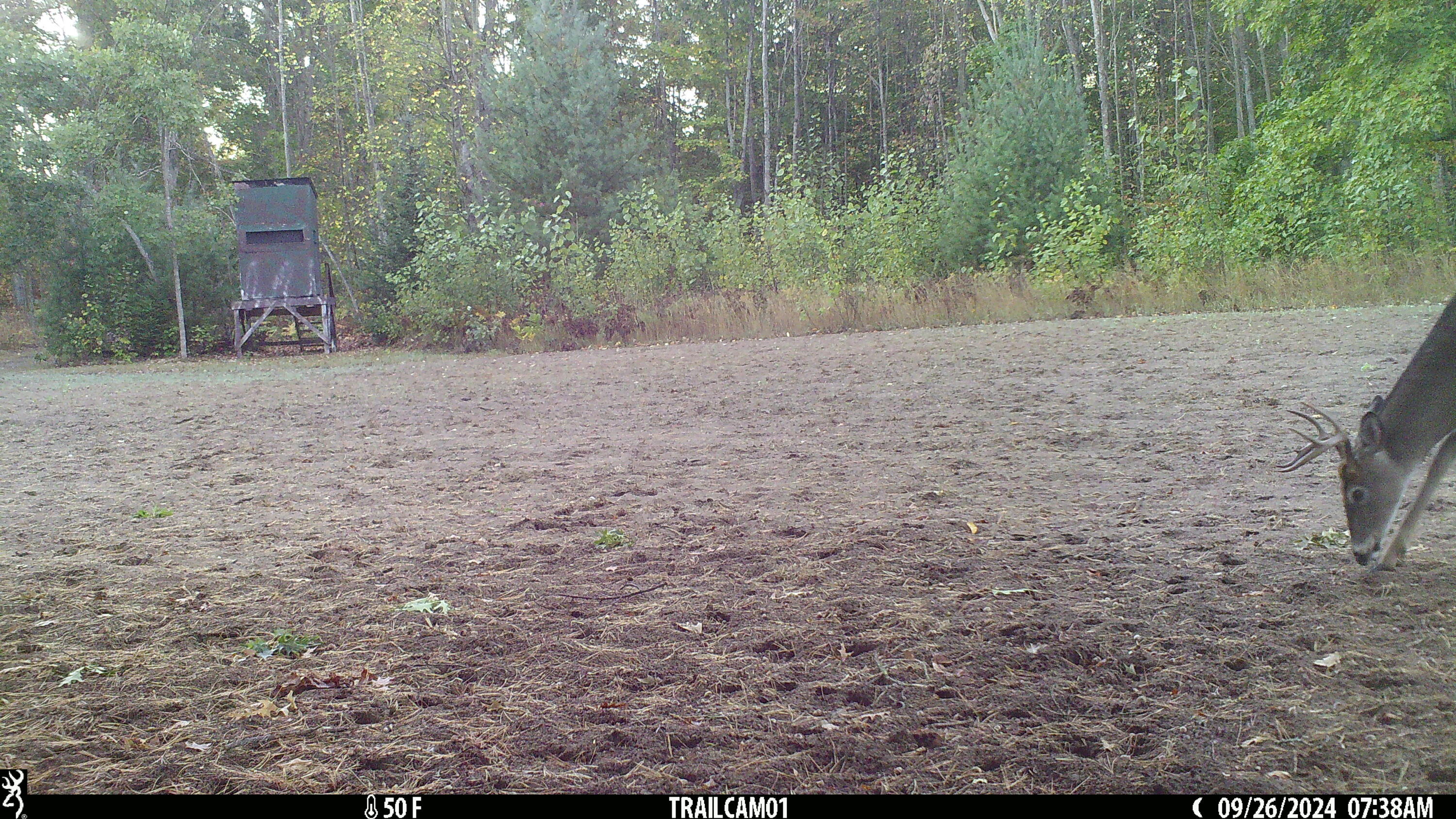 2281 Pearsall Road Fairview, MI 48621 - Photo 117 of 119 Gallery Image 117