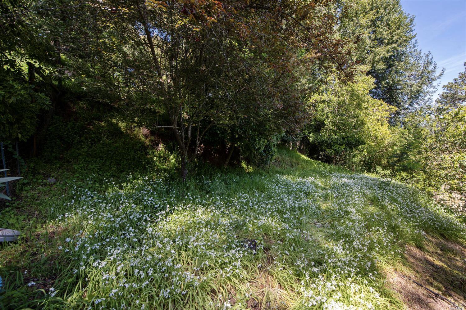 Laurel Way Mill Valley, CA 94941 - Photo 35 of 38