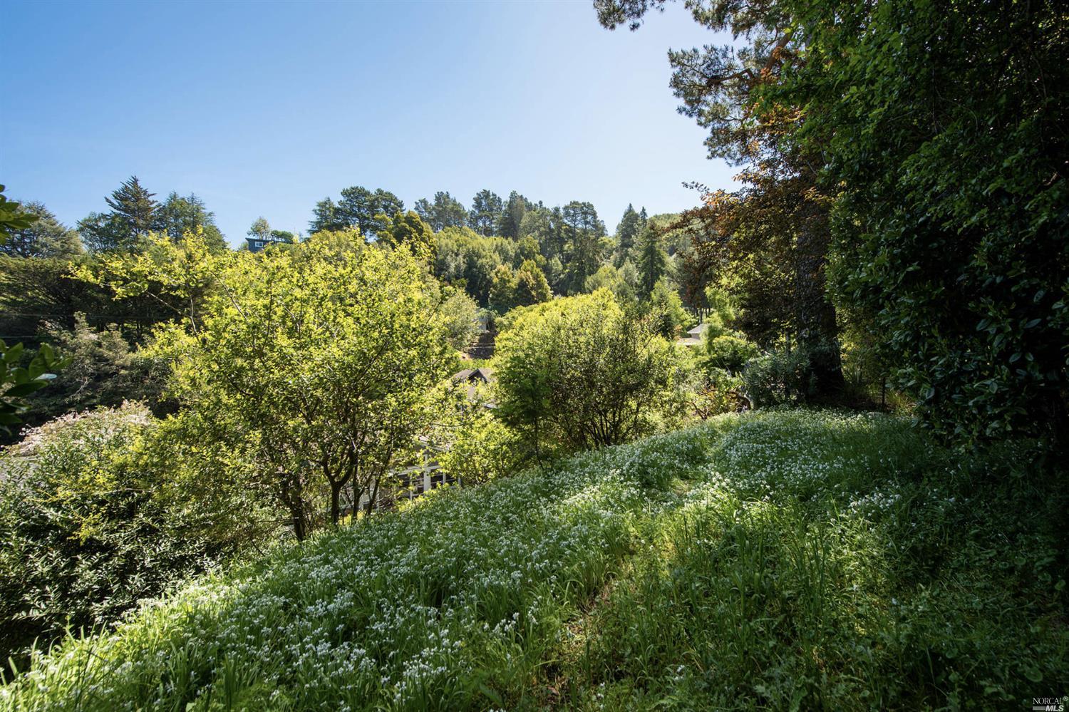 Laurel Way Mill Valley, CA 94941 - Photo 36 of 38