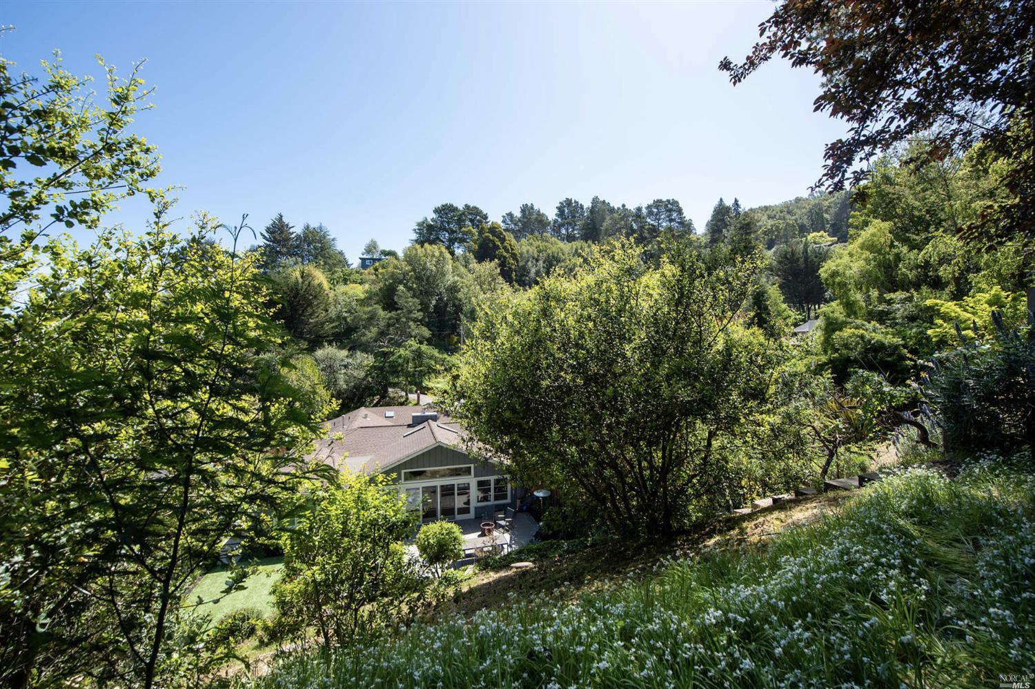 Laurel Way Mill Valley, CA 94941 - Photo 37 of 38