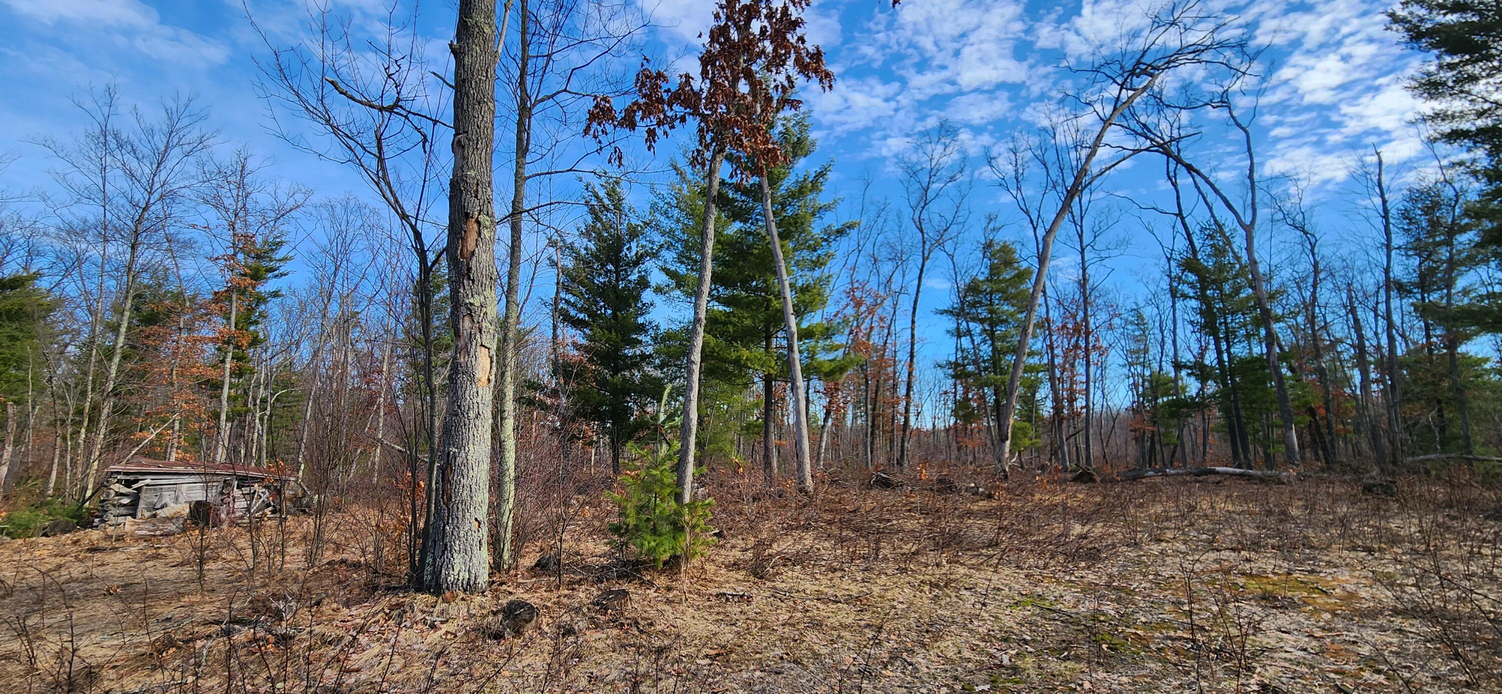 7746 North Woodbridge Road Brohman, MI 49312 - Photo 3 of 41 10 acres