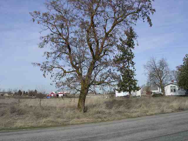 8715 North 5 Mile Road Spokane, WA 99208 - Photo 4 of 6 Gallery Image 4