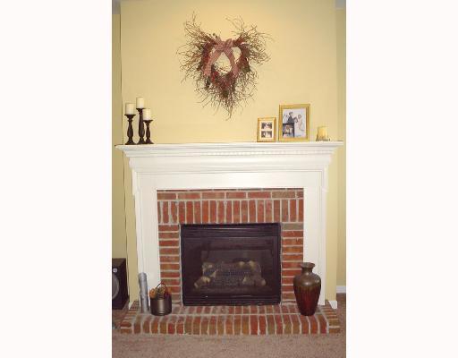 128 Cherrytree Road Carnegie, PA 15106 - Photo 8 of 18 Other. THE FIREPLACE IN THE FAMILY-ROOM HAS GAS LOGS, BRICK FACE AND HEARTH AND WHITE MANTEL