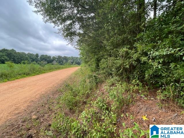 0 County Road 92, Unit X Graham, AL 36263 - Photo 4 of 13