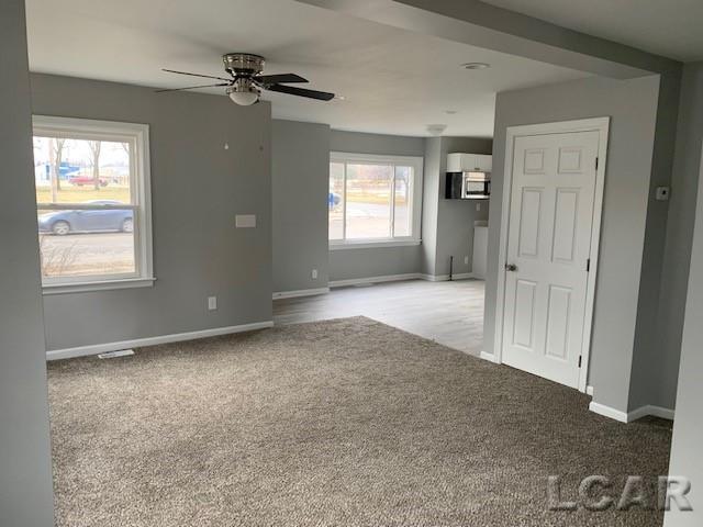 646 Springbrook Avenue Adrian, MI 49221 - Photo 11 of 17 50064346-10.JPG