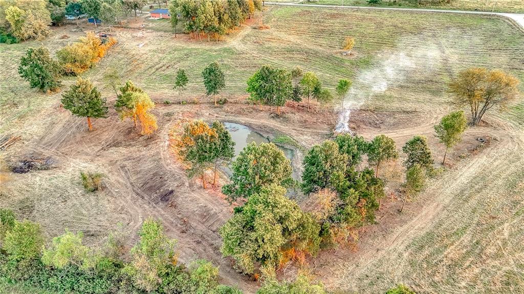 Tbd Southwest Tbd Sw 200th Road Centerview, MO 64019 - Photo 7 of 36 Gallery Image 7