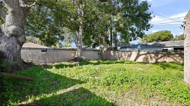 a view of a backyard with plants